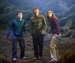 Harry Potter, Ron y Hermione