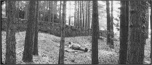 Jaime Rosales - Sueño y silencio