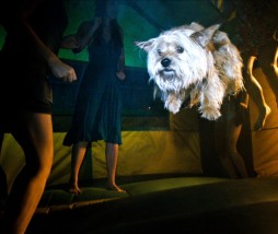 Una imagen de la película más descargada de 2012