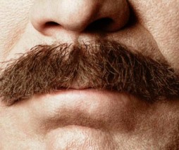 El Reportero Ron Burbundy regresa