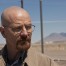 Lex Luthor tiene los rasgos de Bryan Cranston